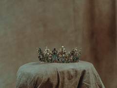 노래하는 불사조의 관