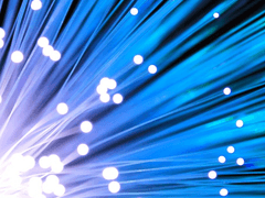 [준쟁승/승재준] 개와 고양이 사이 - 2