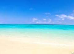 쪽빛 눈빛을 기억해서.