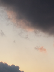 카잔스키의 일상