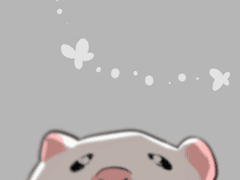 워치 배경화면 공유