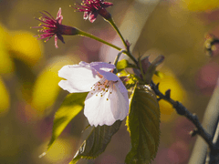 [루하나/태웅백호/流花] #04. 雨水