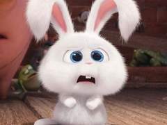 김씨 집안 막내 일상 구경하실? TALK 16