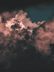 좀아포 세계에서 살아남기