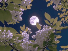 요괴토벌작전 2