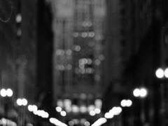 좀아포 세계에서 살아남기 00.