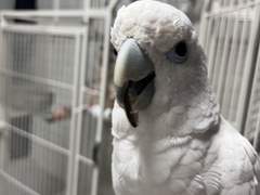 코코의 육아일기 #1