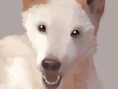 [반려동물 커미션(2.0)]