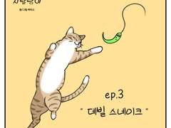 🐱우리집 지랄냥이 : 3화🐱