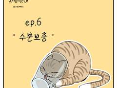 🐱우리집 지랄냥이 : 6화🐱