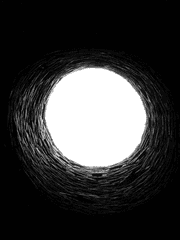 Healing Process (2023)