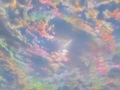 8월, 낯간지러운 여름 : 태웅태섭