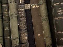 𝐀𝐧𝐬𝐰𝐞𝐫 𝐖𝐡𝐢𝐭𝐞