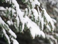 간절함[행크님]