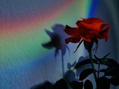 [백도] Dear. My Rainbow 04