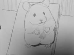 햄 드로잉 연습~