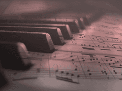 개나리 / 3학년 / XY