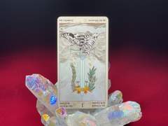 이번 주의 카드: Ace of Swords reversed