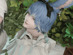 🌱초코보 새싹이 언약자를 찾습니다!