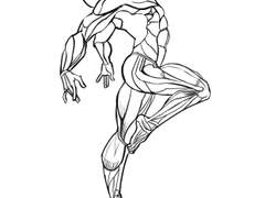 2023년 3월 4일 (토) <해부학>