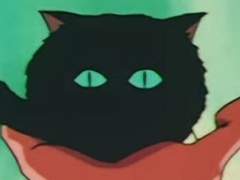 서태웅 20cm 갠제 일기 (전편)