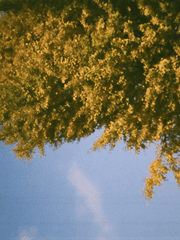 처음 써보는 편지