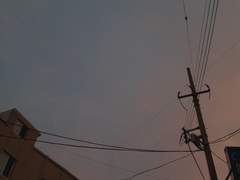 땅거미가 지는 밤 바다에 꽃 한 송이가 비쳤다