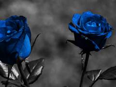 영원한 권세와 영광을, 그리고 나를!