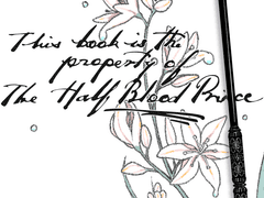 스네이프테마 이북리더기 슬립화면