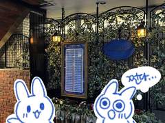 집사카페 간 후기