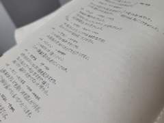 D+11 진짜 김치를 찾아라