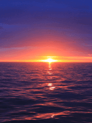 [샹마르] 해군이된 샹크스