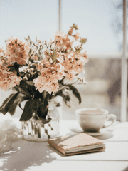 D여고 소망반(完)