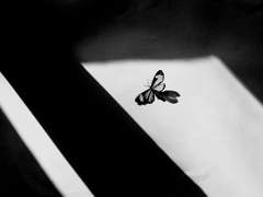 [단편 합작] 암전