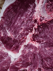 나나는 고기가 좋아