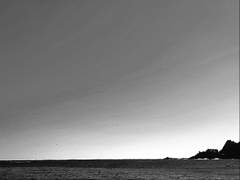 Poem : 사랑의 시