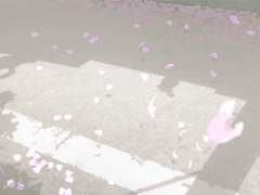 삽질은 이렇게 上