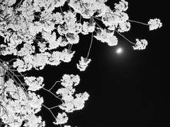 [백호열] 모든 어른은 언젠가 소년이었으니까 (검열판)