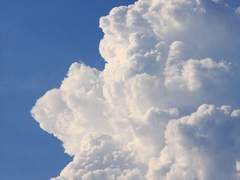 소라 요괴 105 남