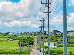 DATE. ______ NO. ______ 外