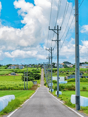 DATE. ______ NO. ______