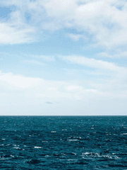 푸른 비련의 끝