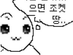 선주도율 관통후기