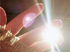 햇빛은 마지막까지...