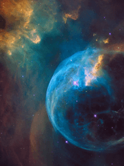 [주눙] 존재의 의미