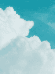 허황된 색채에 속는 자들