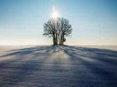 [ 단편 ] 무영(無影) : [ - 살아있지 않아야 - ]