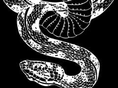 양황 '이무기와 용' 上