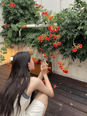 집 나간 워라밸을 찾습니다