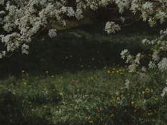 제로의 마법사 : 일곱번째 밤